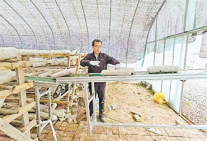 驻泾源县香水镇泾河社区帮扶干部在大棚里卸菌棒。