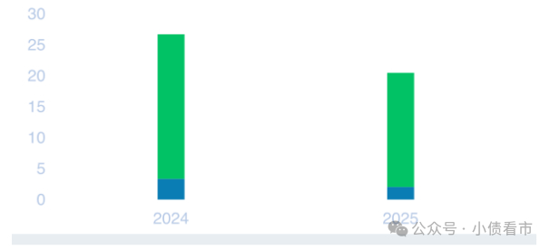 未来偿债现金流