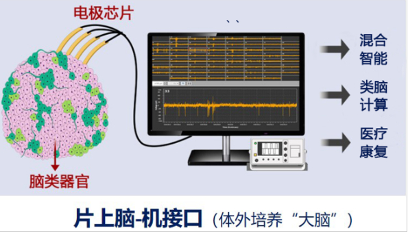 图片来源：天津大学