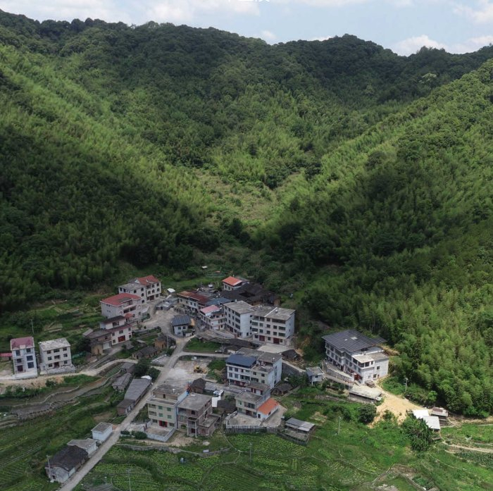 龙岩地形多山，双华村的房子大多依山而建。图源：受访者