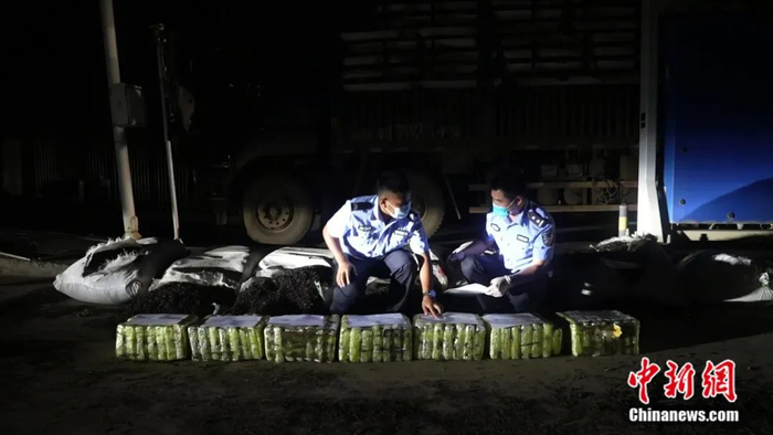 图为茶叶藏毒。清水河出入境边防检查站 供图