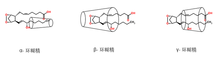 图3. 前列腺素在不同环糊精中的包合状态