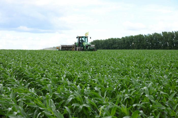 玉米进行中耕追肥作业