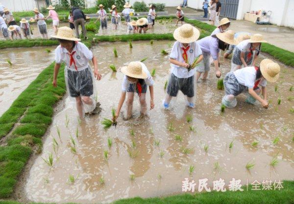 图说：48个同学分成6组劳作