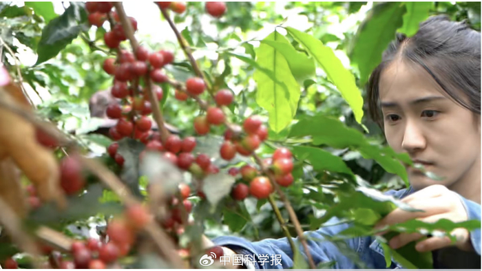 农大丁同学视频截图