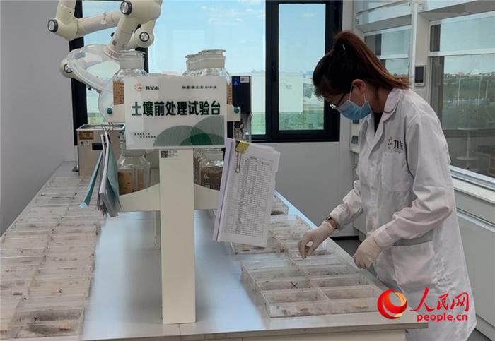 九圣禾创新实验室的科研人员开展种子检测相关工作。人民网记者 吴思萱摄