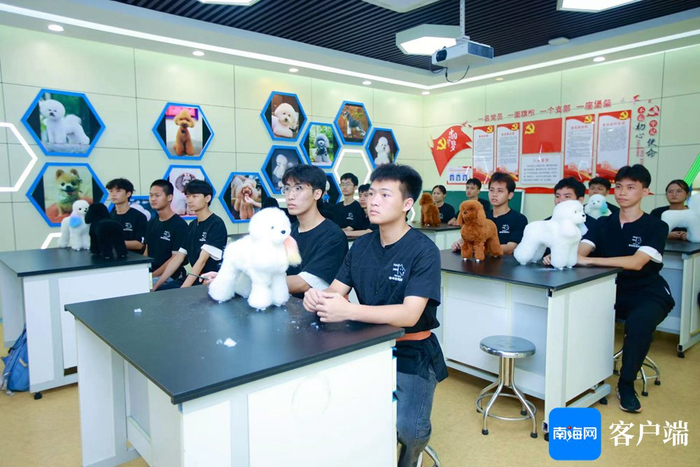 同学们在实训室进行宠物美容课。陈婧 摄