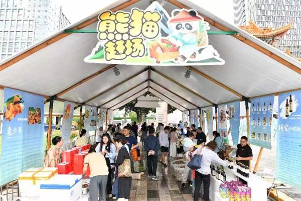 熊猫赶场 绵阳市新闻传媒中心王勇 摄