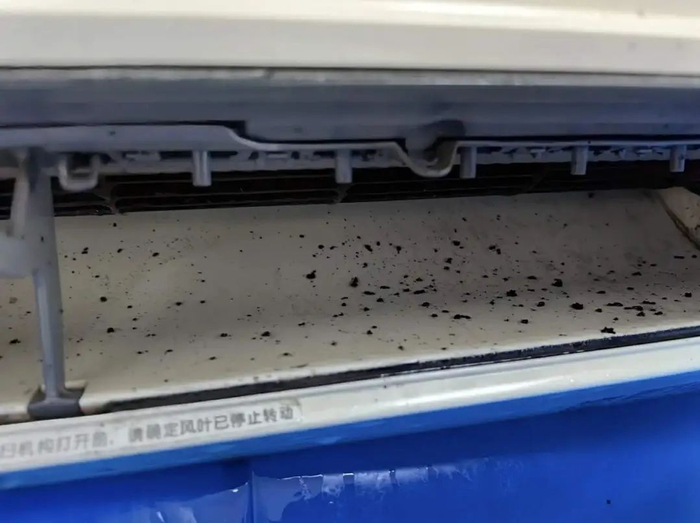 图源：小红书（已获授权）