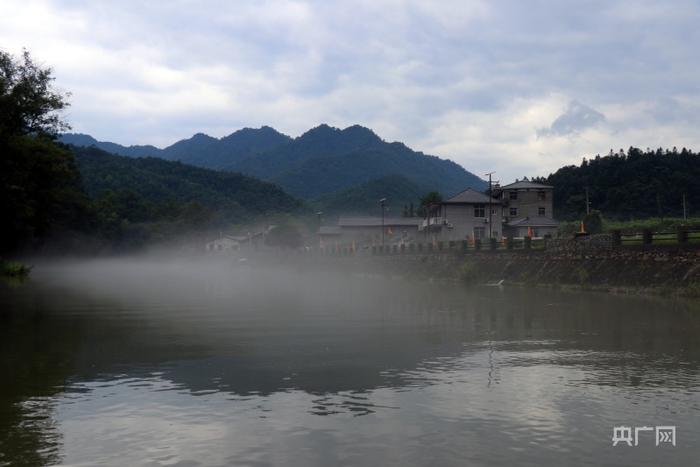 降雨过后，水面笼罩着一层薄雾（央广网记者 刘培俊 摄）