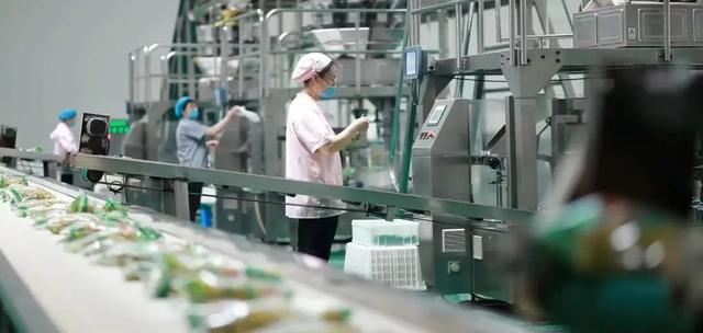 鸡泽县湘君府味业有限责任公司工人正在分装泡椒。（王超 摄）