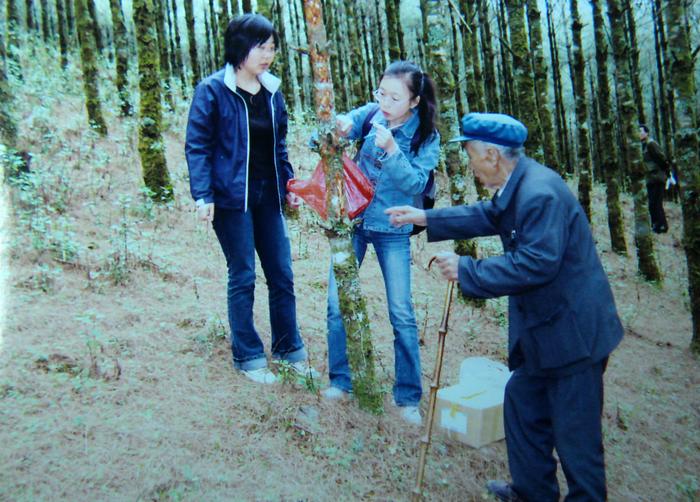 2006年，杨善洲和云南林学院专家组研究林场病虫害防治