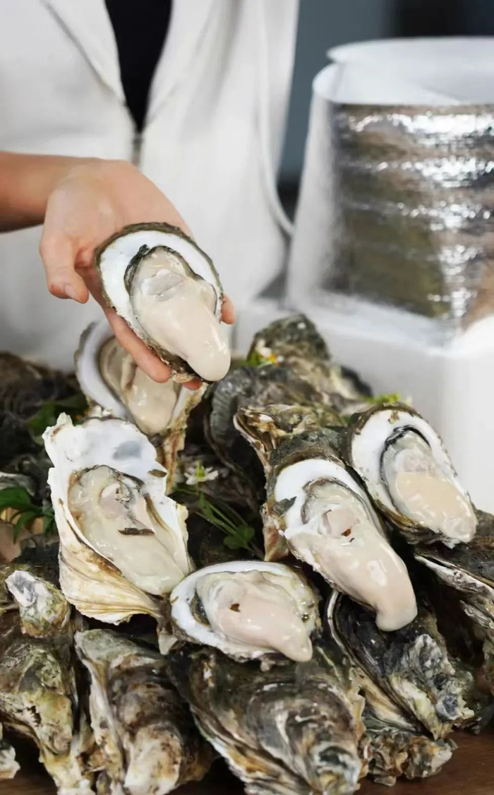 个大肥硕的官渡生蚝。