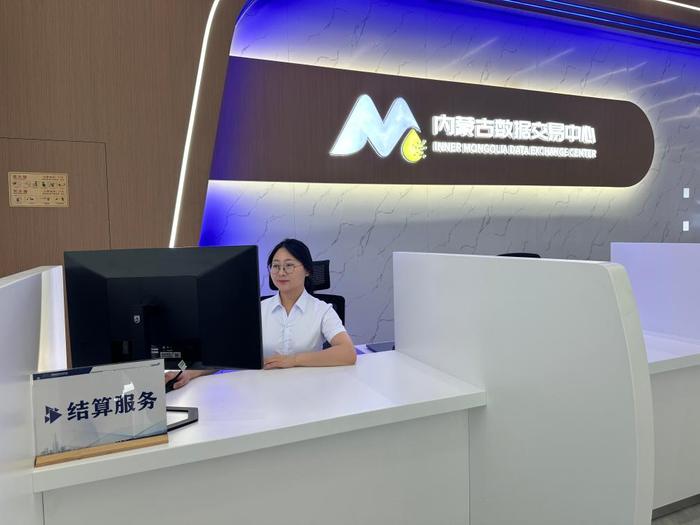 6月27日，工作人员在位于呼和浩特市和林格尔新区的内蒙古数据交易中心工作。新华社记者王雪冰 摄