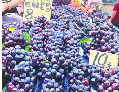 巨峰葡萄饱满圆润 本报记者黎兆齐 摄