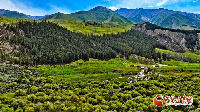 肃南:夏日祁连山国家公园景色迷人
