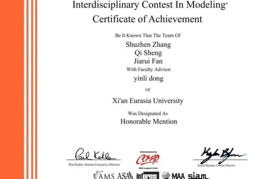 2024年美国大学生数模竞赛二等奖