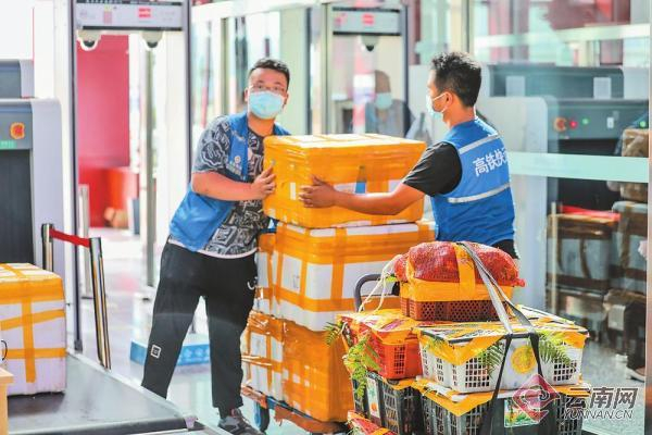 高铁运输野生菌