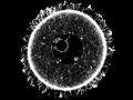 科学家发现卵母细胞长寿蛋白