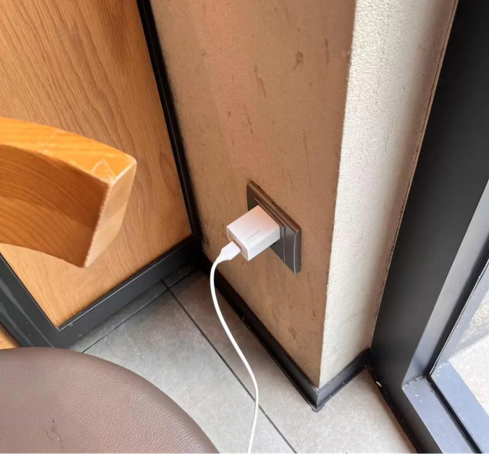 （图片来源：郑艺阳）