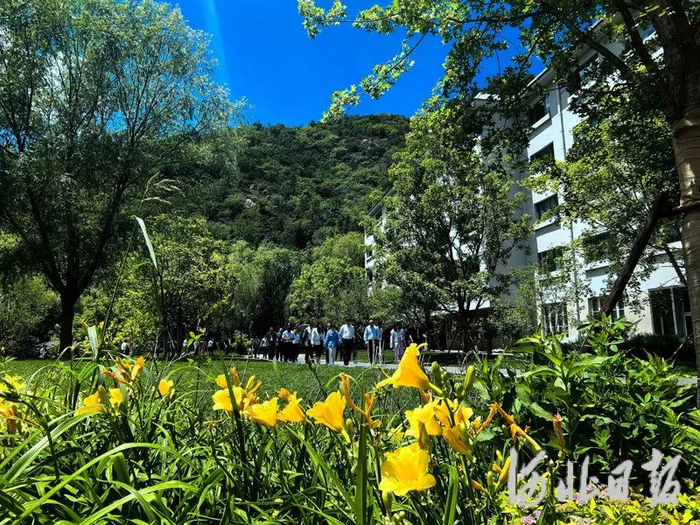 6月24日，游客漫步在阿那亚·雾灵山休闲度假区。河北日报、河北日报客户端记者陈宝云摄