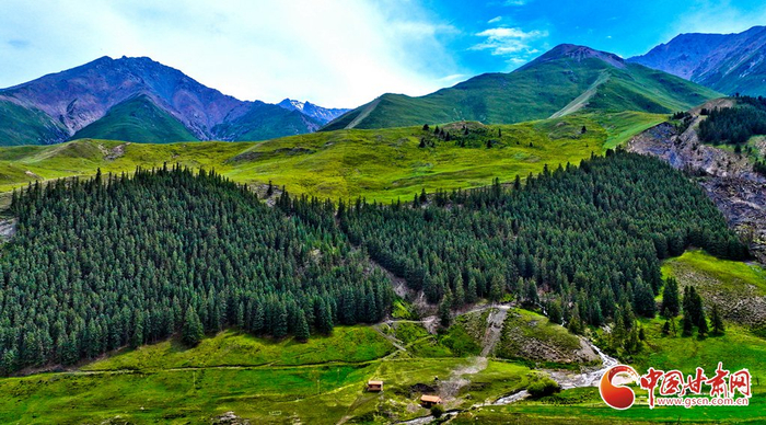 肃南:夏日祁连山国家公园景色迷人