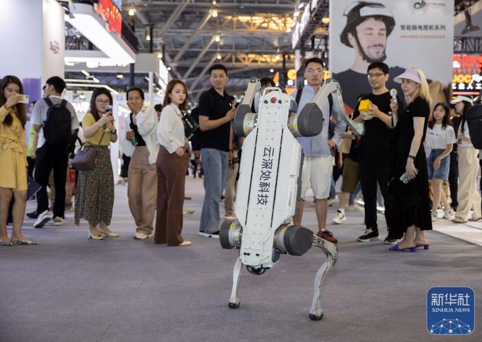 7月4日，人们在2024世界人工智能大会上观看机器狗倒立表演。新华社记者 王翔 摄