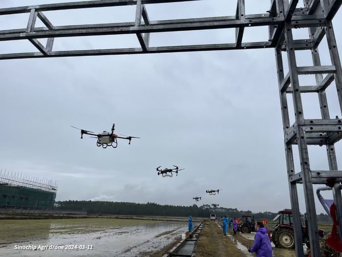 （鼎峰农业无人机在江门恩平。受访者供图）
