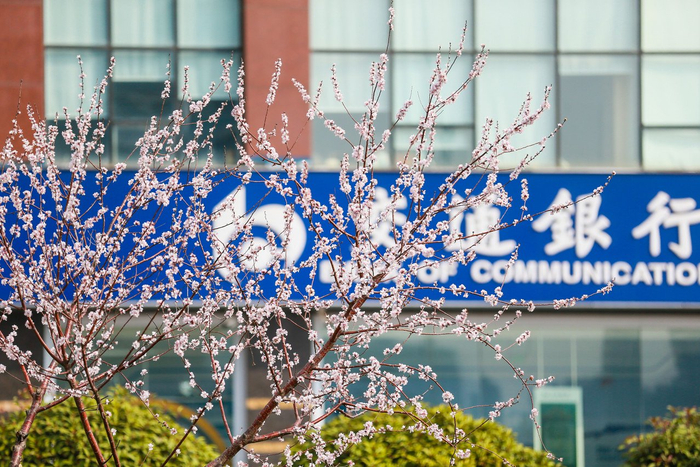 来源：图虫创意