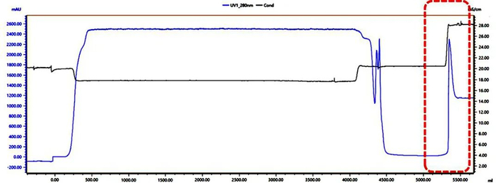 图3：重组胶原蛋白TA-Ni FF（NTA）纯化曲线