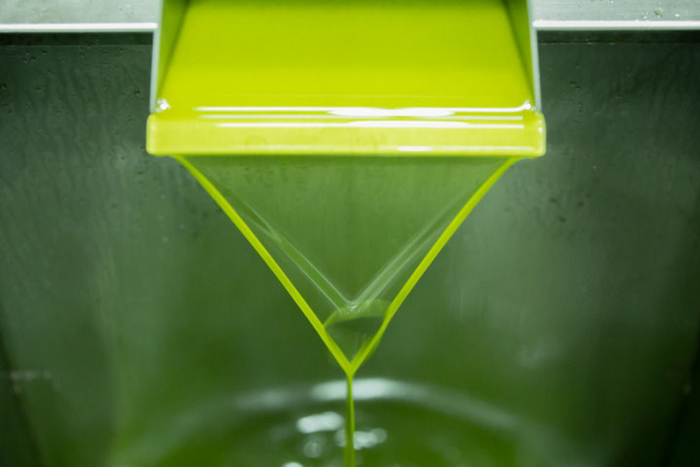 在陇南市祥宇油橄榄公司生产线上，鲜榨橄榄油正在流出。新华每日电讯记者 郎兵兵 摄