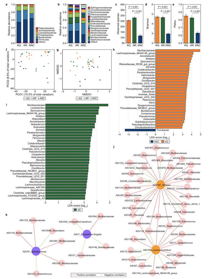 空气传播MNPs对鼻腔微生物群的影响