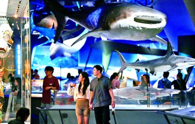 观众在位于天津市滨海新区的国家海洋博物馆参观。新华社发