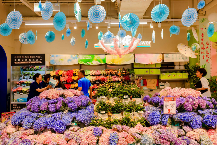 盒马门店的绣球花园。