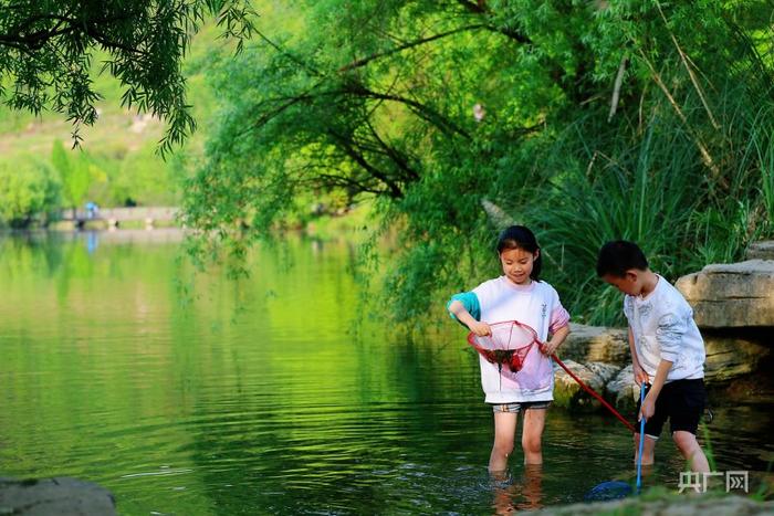 孩子们在贵阳花溪十里河滩湿地公园戏水尽享清凉夏意(央广网记者 栾小