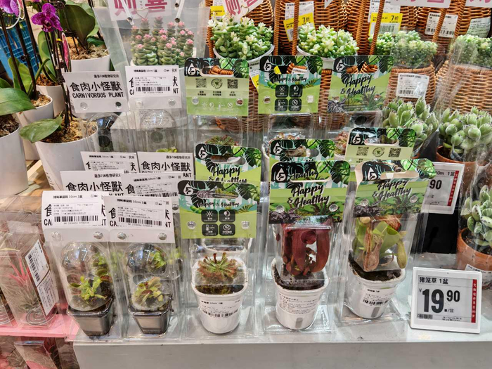 盒马门店上架“四大名捕”系列驱虫草。