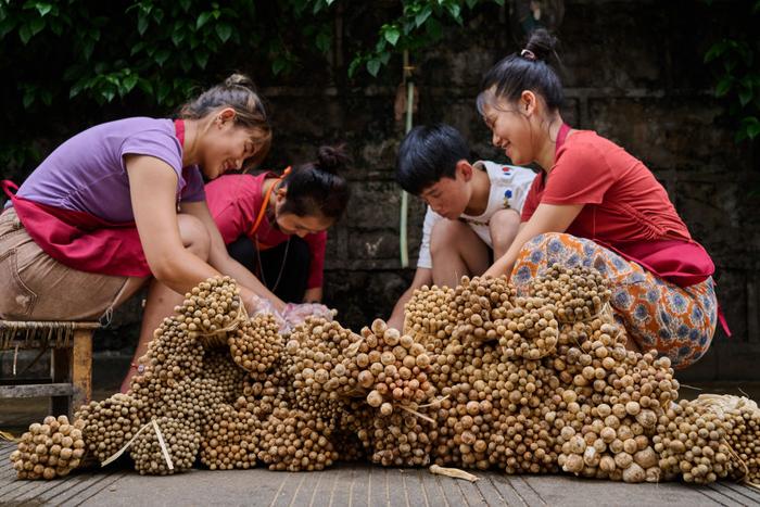   6月21日，云南省德宏州陇川县城内一家过手米线店的员工在清洗鸡枞菌。新华社发（桂金再 摄）