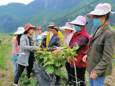 黄艳在九寨沟对种植户做技术指导。受访者供图