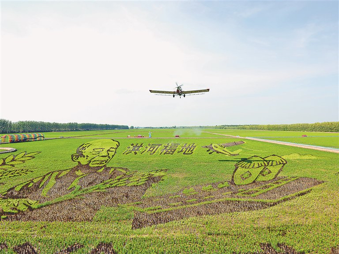     洪河农场“糯海福地”。厉远摄