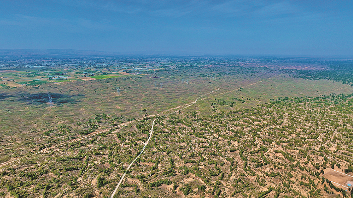 毛乌素沙地目前在内蒙古境内的治理率达到75%。