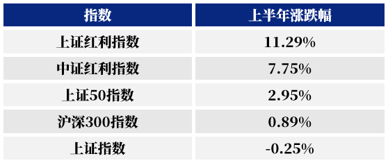 数据来源：Wind，时间区间为2024年1月1日至6月28日。