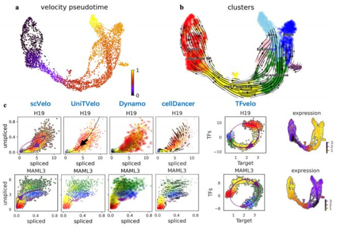 （来源：Nature Communications）