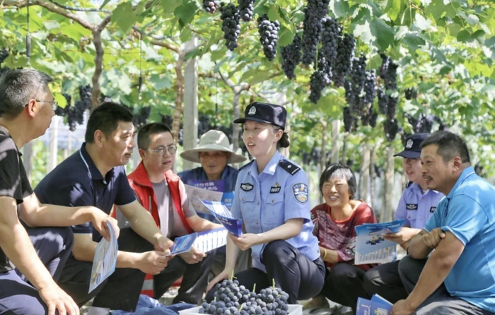 （7月4日，江苏省海安市墩头镇墩西村一处葡萄园内，民警正在向果农宣讲反诈知识。 周强 摄）