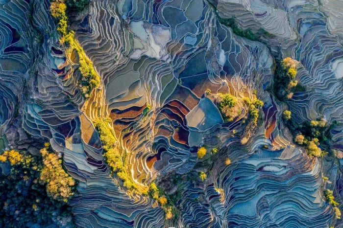 　　从高空俯瞰哈尼梯田，像是雕刻在大地上的“诗行” 沈少雄 摄