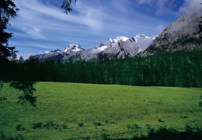 雪山下的云杉坪 唐新华 摄