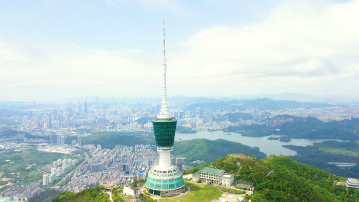 梧桐山。（本网资料图）