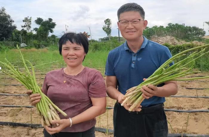 种植基地里，易克贤和陈爱玉抱着刚采收的芦笋。