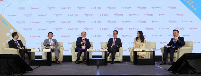 　　2024中总世界华商高峰论坛举行。(主办方供图)
