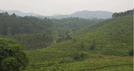 （如今的“恢复上帝十戒运动”所在地）  