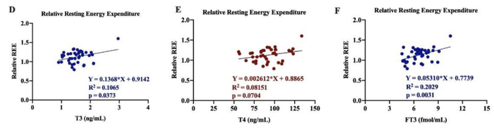 甲状腺激素水平与调整后REE之间的关系